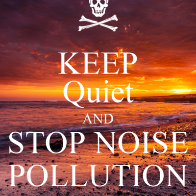 keep-quiet-and-stop-noise-pollution-1